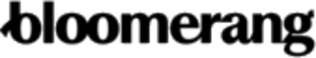 Bloomerang logo